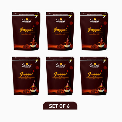 Guggal Premium Dhoop Sticks Zipper Pouch – Set of 6