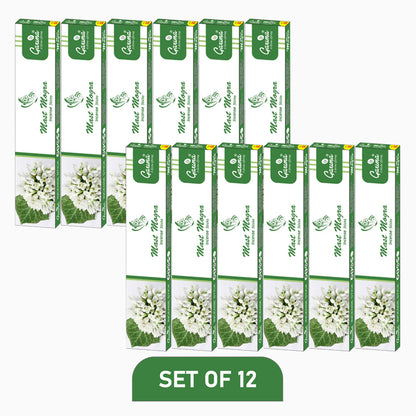 Mast Mogra Incense Sticks – Set of 12